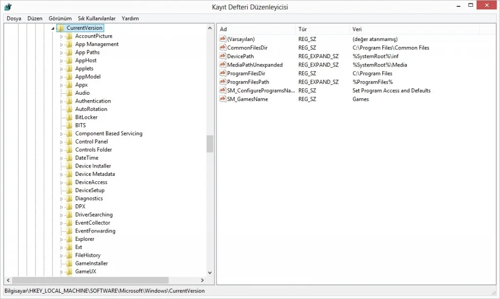 Bilgisayarda Kaldırılamayan Programlar screenshot.7