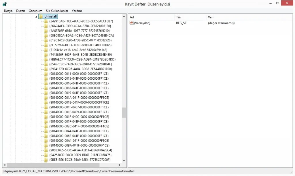 Bilgisayarda Kaldırılamayan Programlar screenshot.8