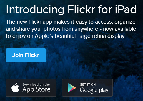 flicr1