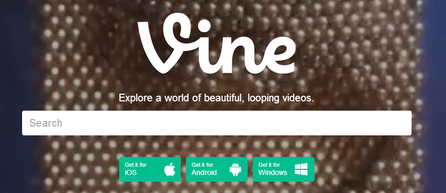 Vine Uygulaması vine1