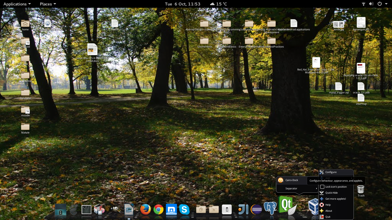l8 l8 - Linux Workstation-Desktop (Is Istasyonu) Bilgisayarlarda Mac OS X Gorunumlu Dock Kurulumu