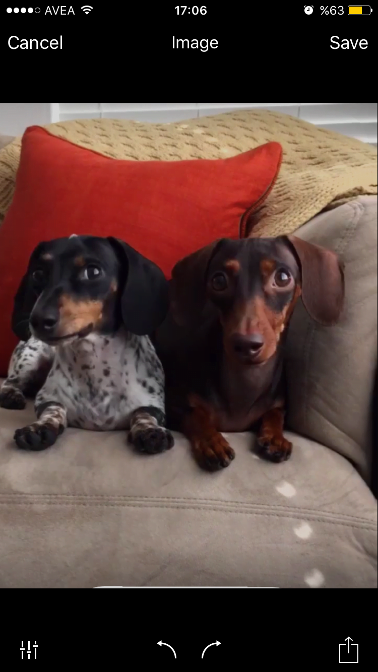 Genius Scan Program İncelemesi gs3