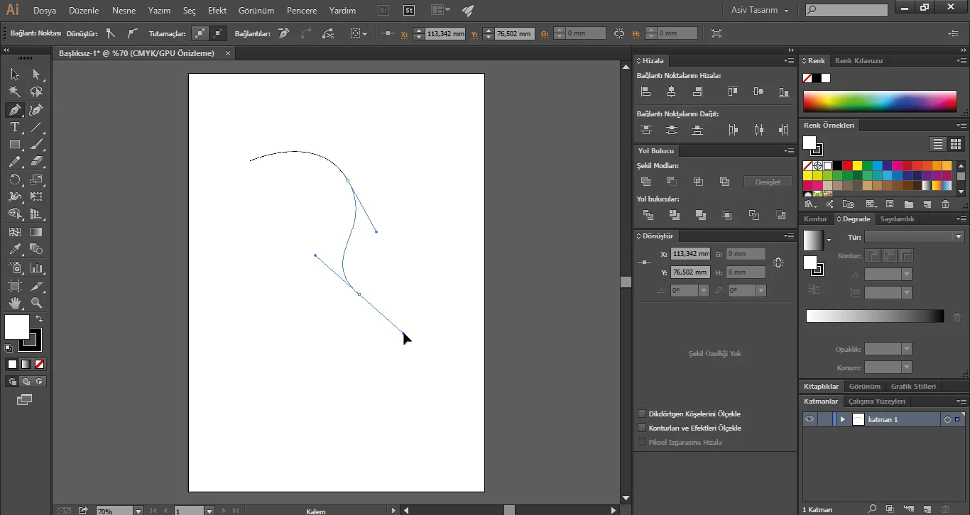 Ekran Görüntüsü6 - Illustrator CC Pen Aracı Kullanımı (Resimli Anlatım)