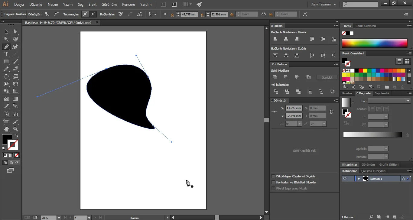 Ekran Görüntüsü7 - Illustrator CC Pen Aracı Kullanımı (Resimli Anlatım)
