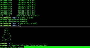 'Bash' Nedir? 'Bash v4.0' Özellikleri Nelerdir?