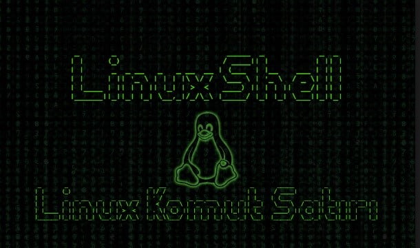 Linux Shell İle Linux Komut Satırı Ayarları, Linux Komut Satırı Ayarı, Linux Komut Ayarı, Linux Shell İstemi, Linux Shell Ayarları, Linux Shell Prompt Nedir?, Linux Terminal Nedir?, Linux GTerm Nedir?, Linux XTerm Nedir?, Linux Kabuk Ayarları, Linux Terminal ayarları, Linux SSH Nedir?