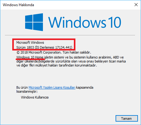 Windows 10un İşletim Sistemi Derlemesini ve Versiyonunu Bulma 6