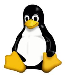 Linux Komut Satırını Kullanarak Dosyaları Silme kapak