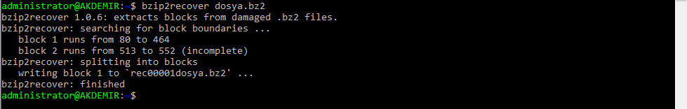 Linux’te Dosyaları Sıkıştırmak için bzip2 Kullanımı 12