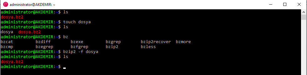 Linux’te Dosyaları Sıkıştırmak için bzip2 Kullanımı 8