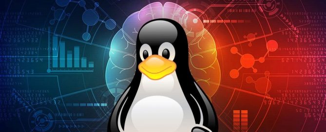 Linux Komut Satırını Kullanarak İnternete Bağlanma
