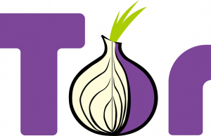 Tor Browser Kurulumu Nasıl Yapılır?