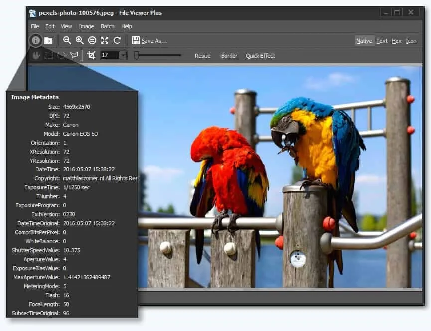 Windows 10 için En İyi 7 Fotoğraf Görüntüleme Yazılımı 2 - Windows 10 için En İyi 7 Fotoğraf Görüntüleme Yazılımı