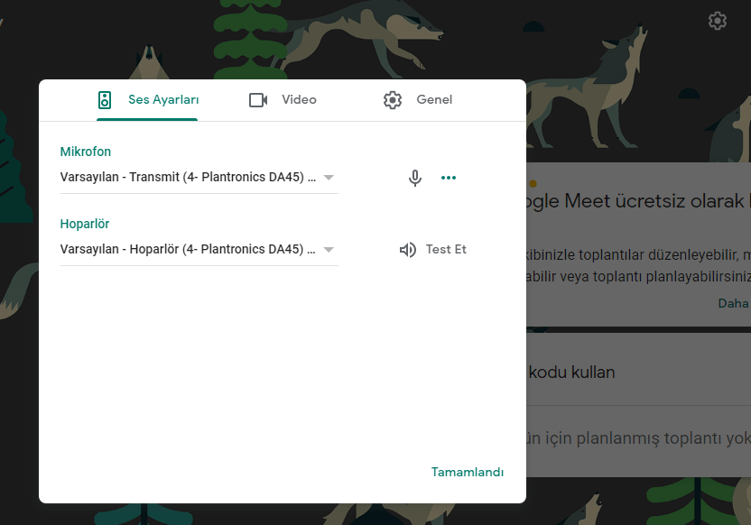 Google Meet nasıl kullanılır 1