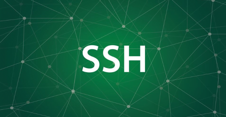 Windowsta SSH Nasl Kullanlr ongorsel