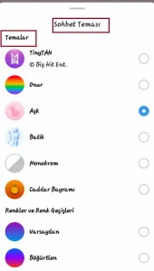 1 8 - İnstagram Sohbet Teması Degiştirme Özelligi