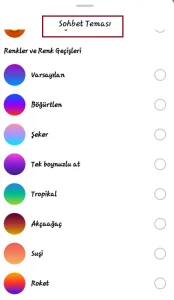 2 6 - İnstagram Sohbet Teması Degiştirme Özelligi