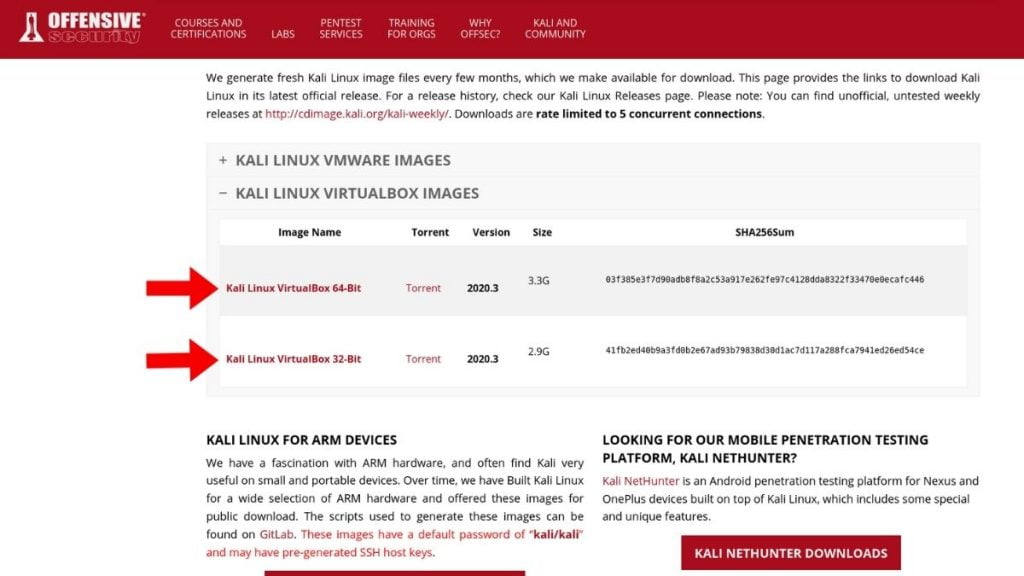 Kali Linux Nasıl Kolayca Kurulur Adımlar