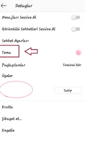 tema - İnstagram Sohbet Teması Degiştirme Özelligi