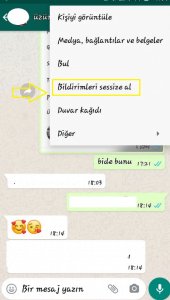1sessize al - Whatsapp Bildirimleri Nasıl Sessize Alınır Ve Sessizden Çıkarılır ?