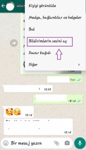 3sesac - Whatsapp Bildirimleri Nasıl Sessize Alınır Ve Sessizden Çıkarılır ?