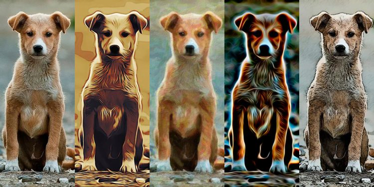 Photoshop Kullanarak Fotograflarinizi Sanata Donusturmenin 7 Yolu - Photoshop Kullanarak Fotoğraflarınızı Sanata Dönüştürmenin 7 Yolu