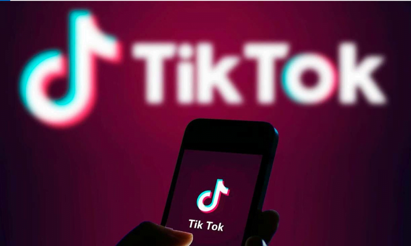 tiktok 2 - Tiktok Sorun Bildirimi Nasıl Açılır