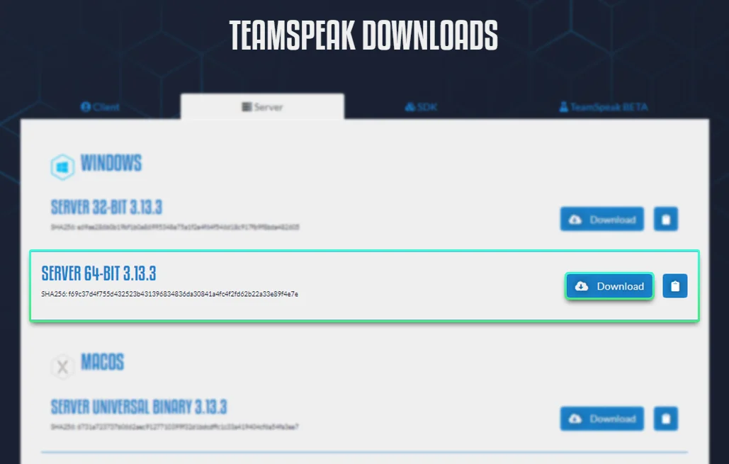 teamspeak sunucusu nasil kurulur 2 - TeamSpeak Sunucusu Nasıl Kurulur