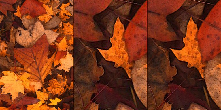 Yapay Zekanin Fotograf ve Videoyu Donusturmesinin 7 Yolu 4 - Yapay Zekanın Fotoğraf ve Videoyu Dönüştürmesinin 7 Yolu