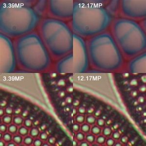 external content.duckduckgo - Telefon Seçerken Megapiksel Faktörü, Iphone 12