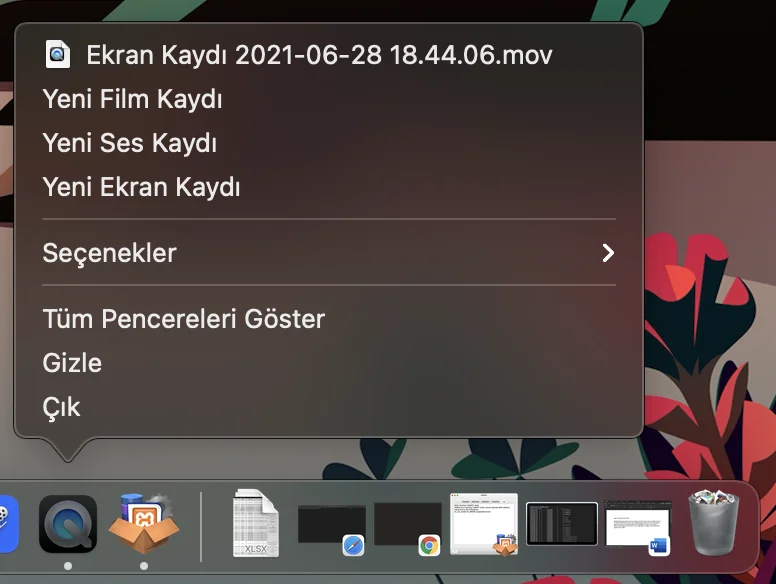 Ekran Resmi 2021 06 28 18.54.14 - Big sur Ekran Kaydı Nasıl Alınır