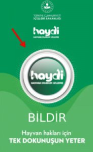 Haydi Uygulaması Nedir Haydi Nasıl Kullanılır ? BILDIR - Haydi Uygulaması Nedir Haydi Nasıl Kullanılır ?