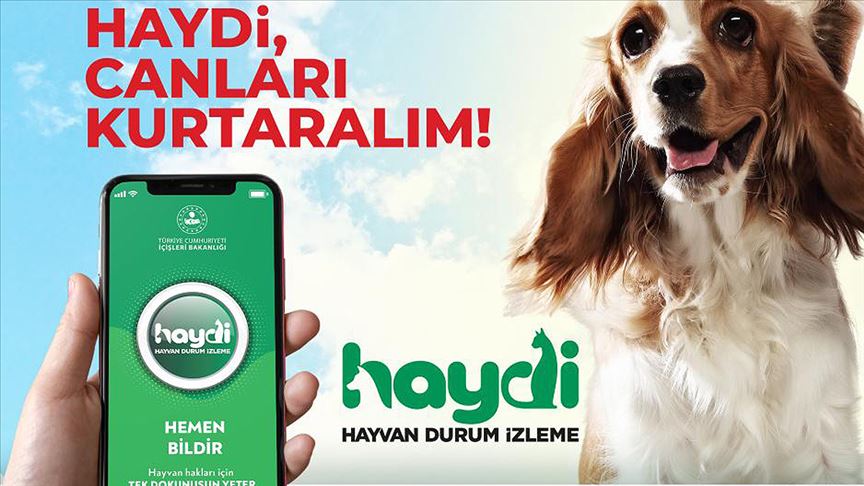 KAPAK - Haydi Uygulaması Nedir Haydi Nasıl Kullanılır ?