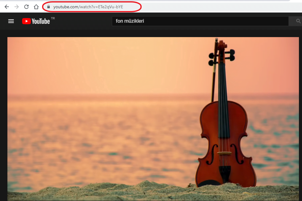 Snappea İle En İyi Video İndirme Deneyimi Yaşayın! snappea ile en iyi video indirme deneyimi yasayin 2 - Snappea İle En İyi Video İndirme Deneyimi Yaşayın!