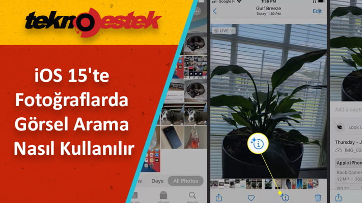 iOS 15te Fotograflarda Gorsel Arama Nasil Kullanirim - iOS 15'te Görsel Arama Nasıl Kullanılır