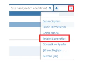 1 iletisim - E-devlet Mail Değiştirme ve Doğrulama Nasıl Yapılır?