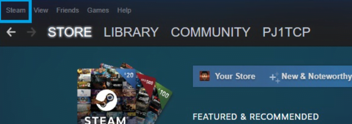 Steam Kimliği nerede yazar