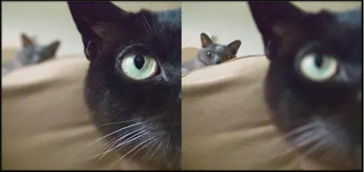 Rack Odak Nedir? rack odak nedir 1 - Rack Odak Nedir?