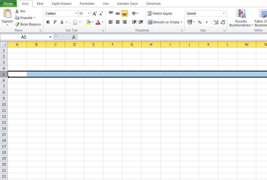 Excel e Satir ve Sutun Ekleme veya Silme 2