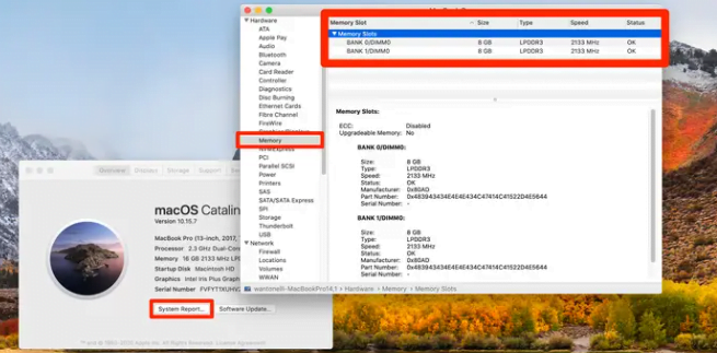 Mac veya PC'de RAM Kontrolü