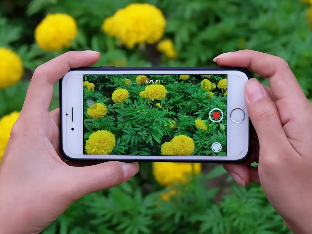 iPhoneda iMovie Uygulamasi ile Bir Videoya Muzik Ekleme kapak - iPhone'da iMovie Uygulaması ile Bir Videoya Müzik Ekleme