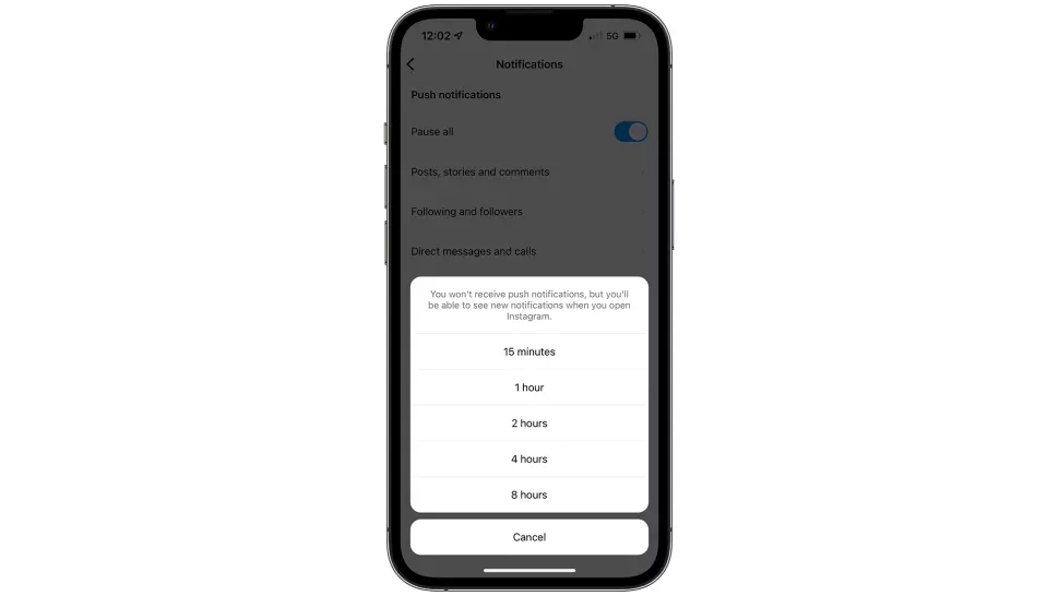 instaresim5 - iOS ve Android'de Instagram kullanımınızı sınırlama