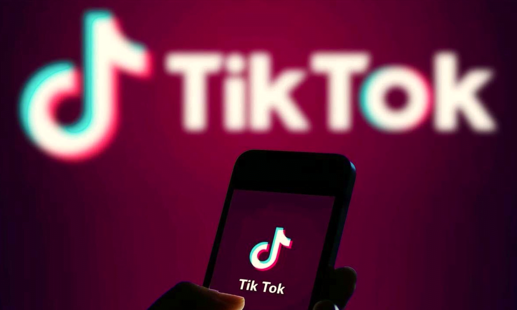 Tiktok Verilerini İndirme