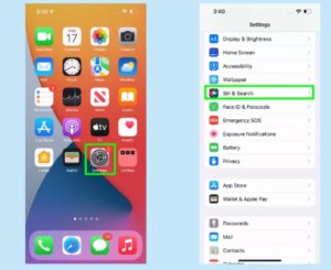 apple siri resim 1 - Siri, iOS 15.4'te yeni ses güncellemeleri getirdi.