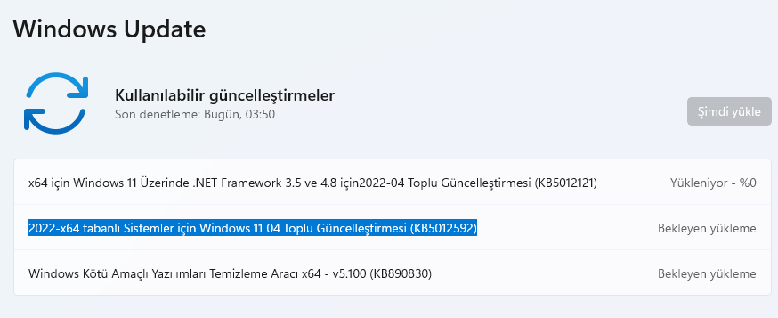 Windows 11 Nisan 2022 Güncellemesi 22000.613 (KB5012592)