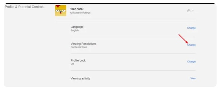 Netflix Bu Başlık Oynatılamaz Hatası netflix video açmıyor