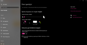 Windows 10’da İmleç Boy Renk