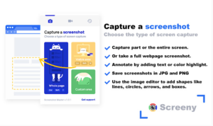 Ekran Görüntüsü ve Kayıtları için Chrome Uzantıları Chrome Ekran Görüntüsü için uzantılar