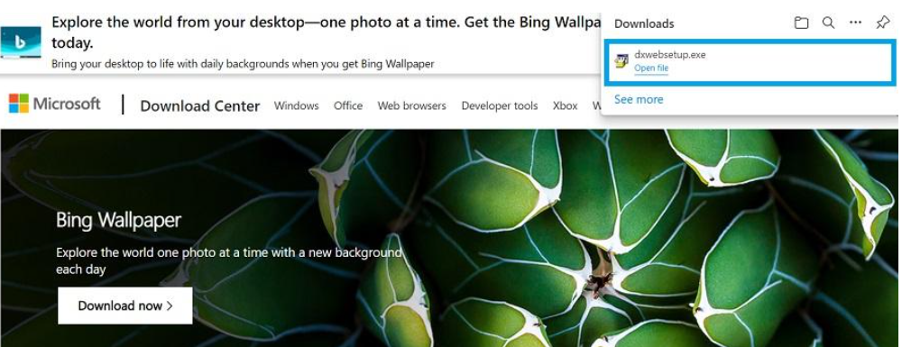DirectX 11 Nasıl Kurulur?