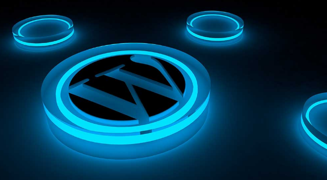 resim wordpress 2 - Web barındırma ve WordPress barındırma nedir?